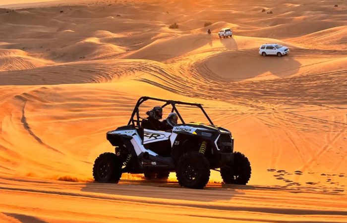 Desert Safari Exclusive