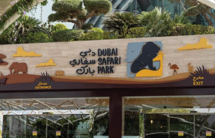 Dubai Safari Park 1