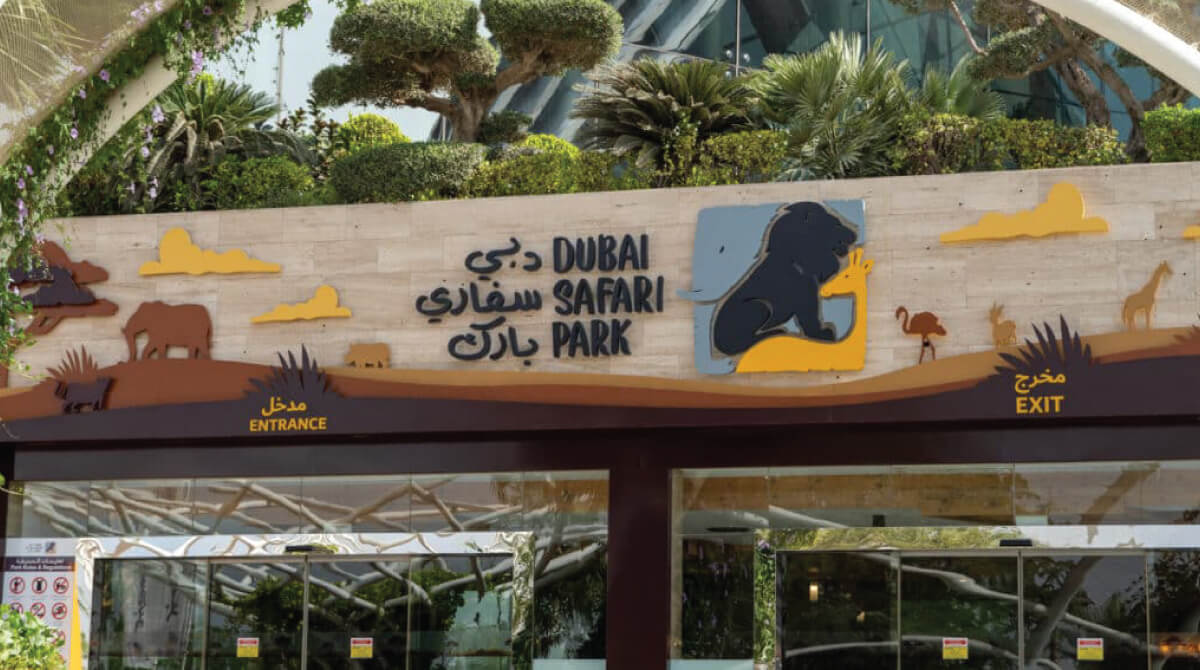 Dubai Safari Park 1